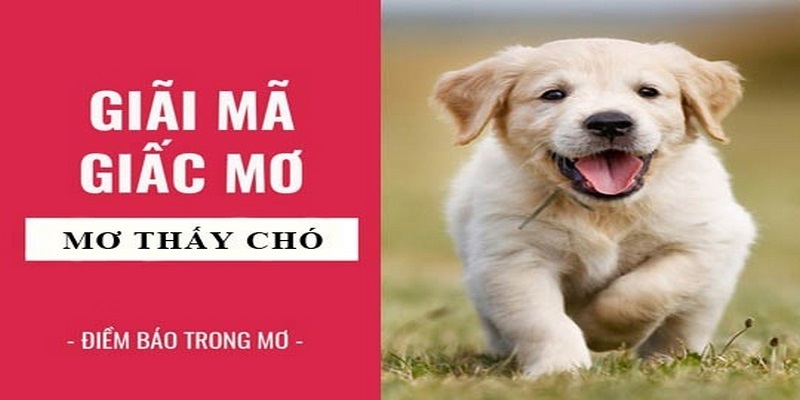 Mơ thấy chó đánh con gì?